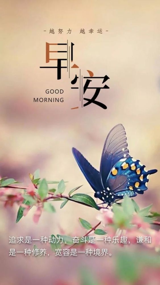 早安问候语图片句子简短一句话早安心语励志正能量语录微信早上好励志