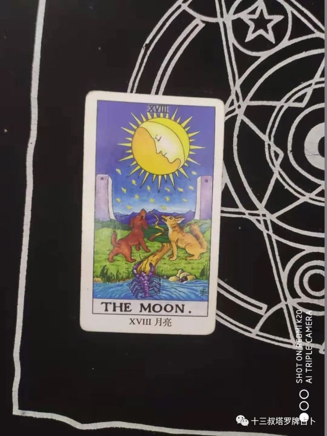 a是月亮正位案答看查方下在请3-在a,b,c,d选择一张感觉最深的塔罗牌2