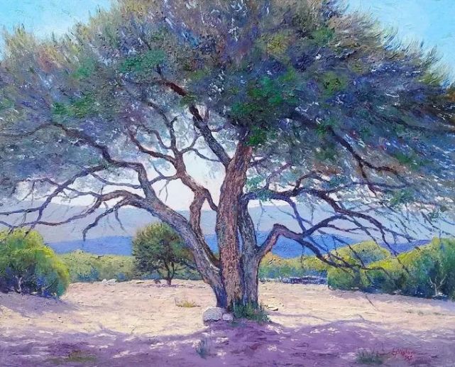 印象派,画家爱德华多笔下的阿根廷风景,美得不得了!