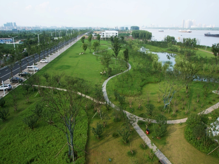 爆料!码头"变"草地,原因是