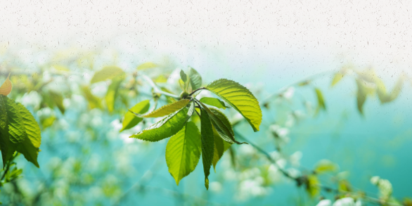 本期采访   彭晓燕 本期编辑   慧琳