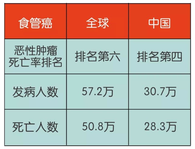 看下图!中国的食管癌发病率和死亡率占了全球一半了!