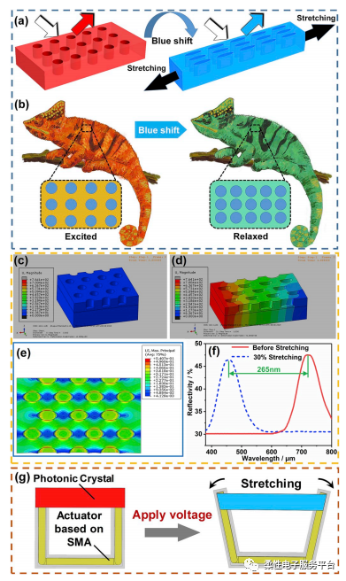 仿变色龙的可拉伸电致变色器件