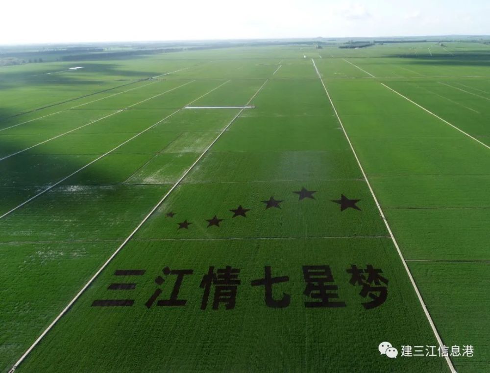 黑龍江旅遊新勝地 大農業觀光看建三江七星農場