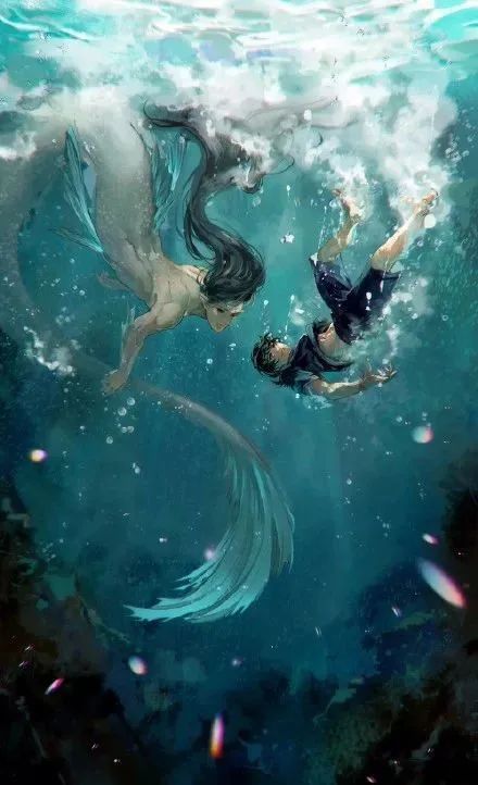 现代人鱼paro人鱼叽人类羡