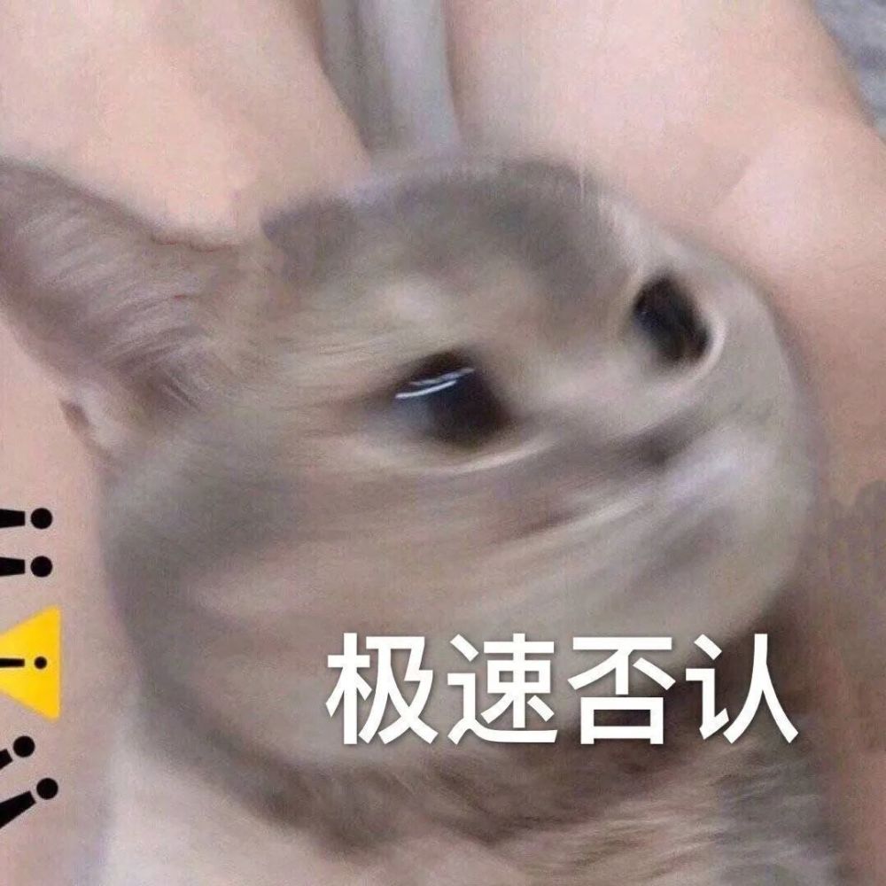 猛男最喜歡用的小動物表情包