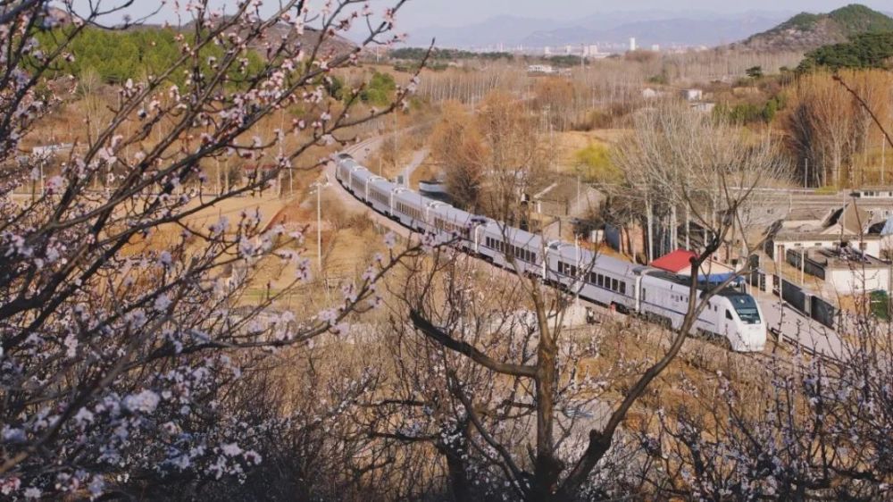 "开往春天的列车"怀柔-密云线实施新版时刻表啦,记得收藏!