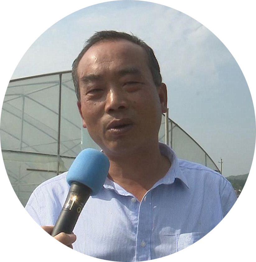 蒋卫东:蔬菜大棚种植忙 带上村民同致富