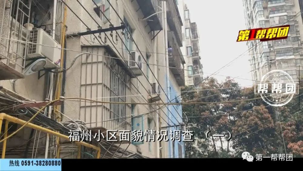 小区绿化地变菜园业主种菜乐此不疲福州老旧小区改造难题多
