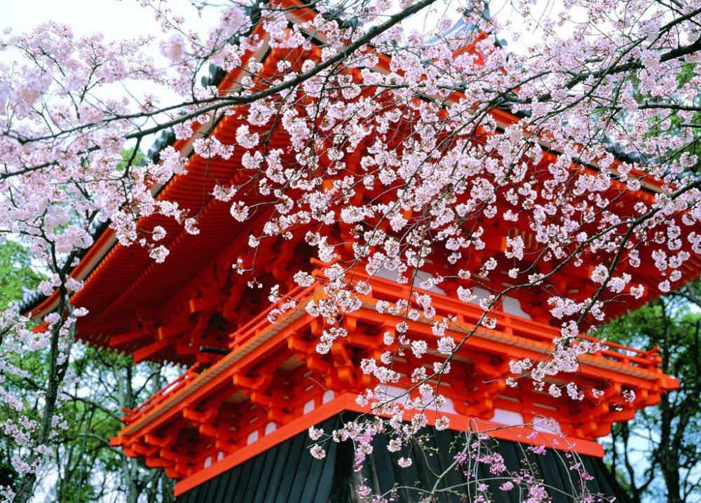 陆游|陆游一首很美的七绝，同样达到了诗中有画的意境，美得令人惊艳！