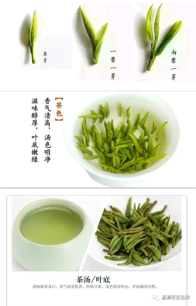 首先作为雀舌茶是把茶叶分为莲心,旗枪,雀舌和鹰爪四个档次,这是中国