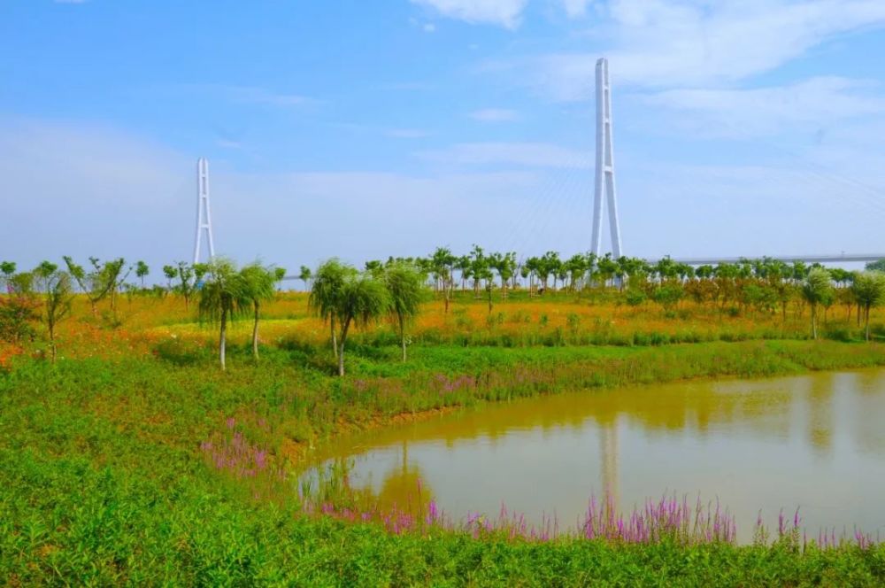 2009年到2010年實施溼地公園的主體建設,完成了長江岸線雨花經濟開發