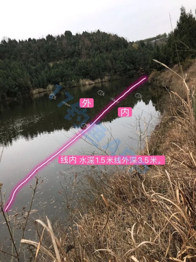 1,如果岸坎够高够安静,能保证鱼儿的安全感,就贴坎打窝让位于鱼钓近.