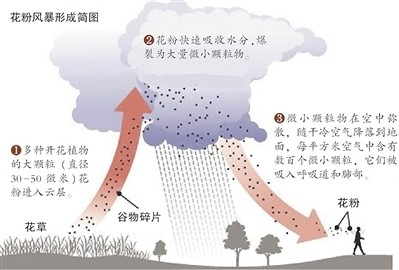 你了解 花粉风暴 吗 腾讯新闻