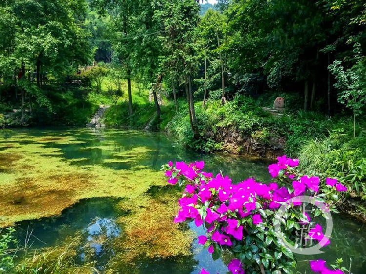 九凤瑶池位于九龙坡区金凤镇,分别由12个彩色水潭组成.