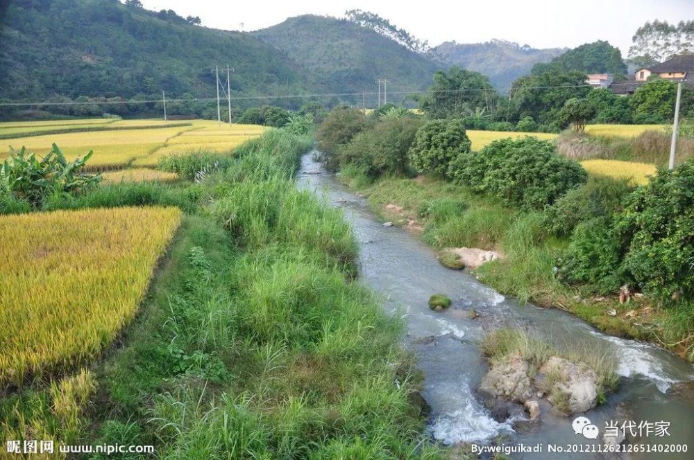杨筱英:流淌在心中的小河