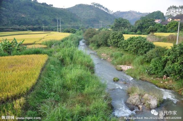 杨筱英:流淌在心中的小河