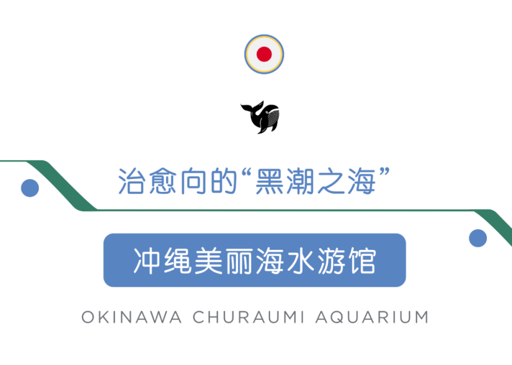 现实中真的有动森同款神仙博物馆吗 腾讯新闻