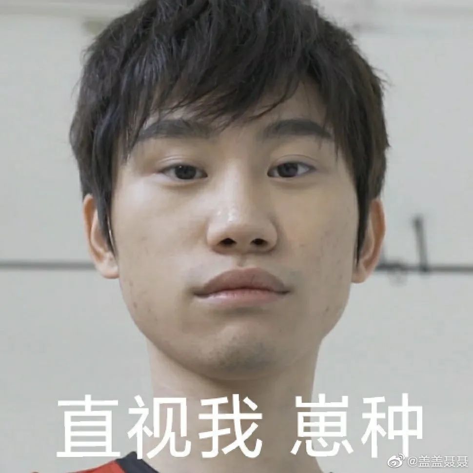 来不及了点进来收藏最全金咕咕表情包