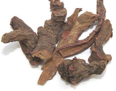 这几类中药是止血药中的翘楚