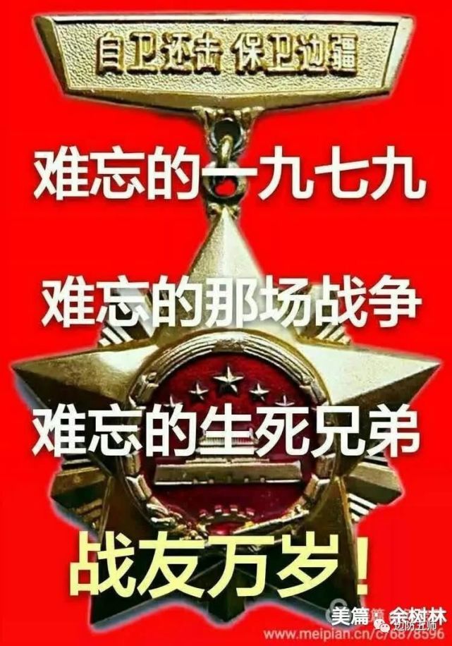 《铁军127师1979年对越自卫反击战纪实》