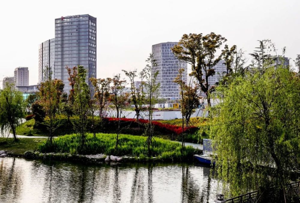 网红打卡新地标松江这座生态滨水休闲公园你去过吗