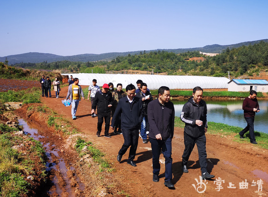 麒麟区东山镇稳就业工作风生水起