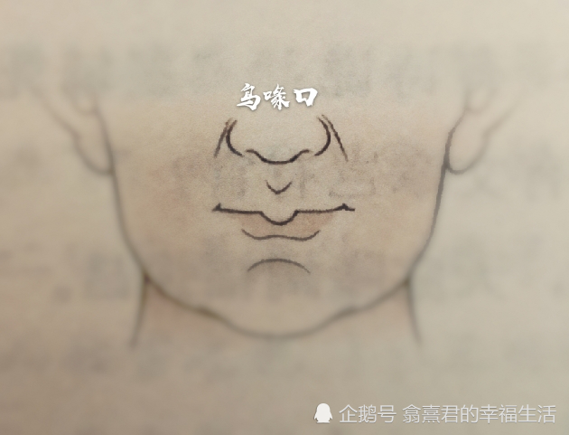 看看你和你的亲朋好友是这六种口型中的哪一种,性格特点和人生运程