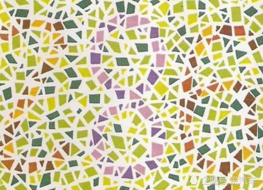 6张红黄绿色盲图其中有一匹马看不到可能是色盲