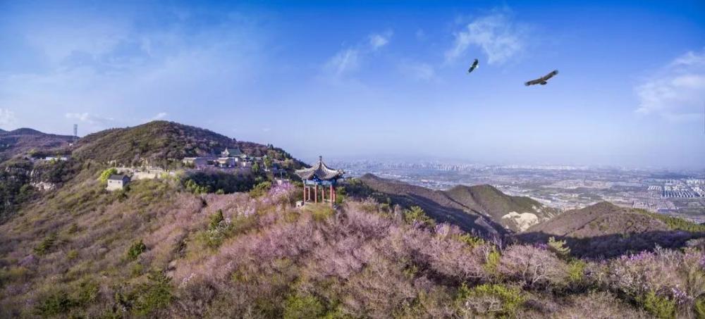 4月太原龍山石窟景區;丁香花開,繁花似錦