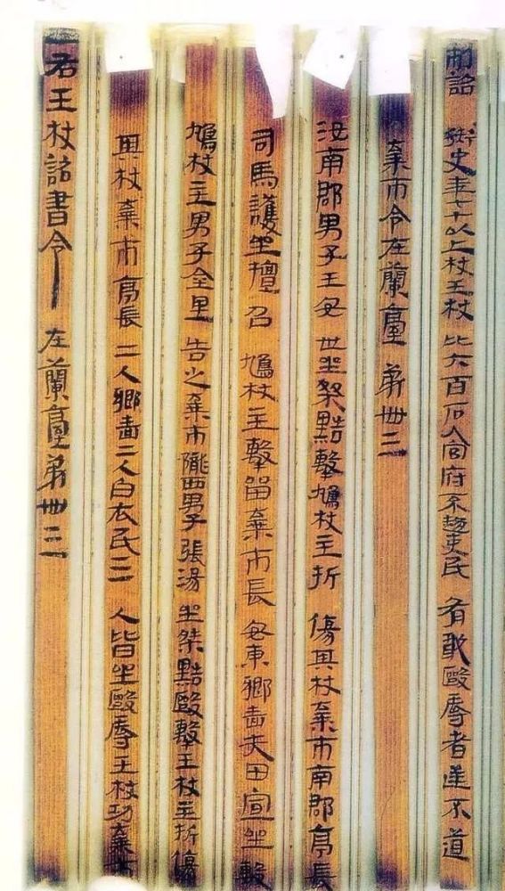 书城不夜 武威汉简