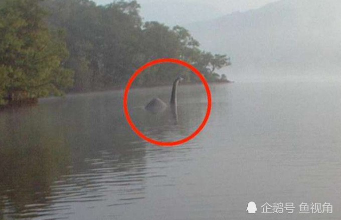尼斯湖水怪又出现了?爱尔兰男子拍到水怪视频,被认定官方目击报告!
