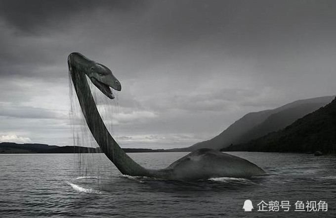 爱尔兰男子拍到水怪视频,被认定官方目击报告!