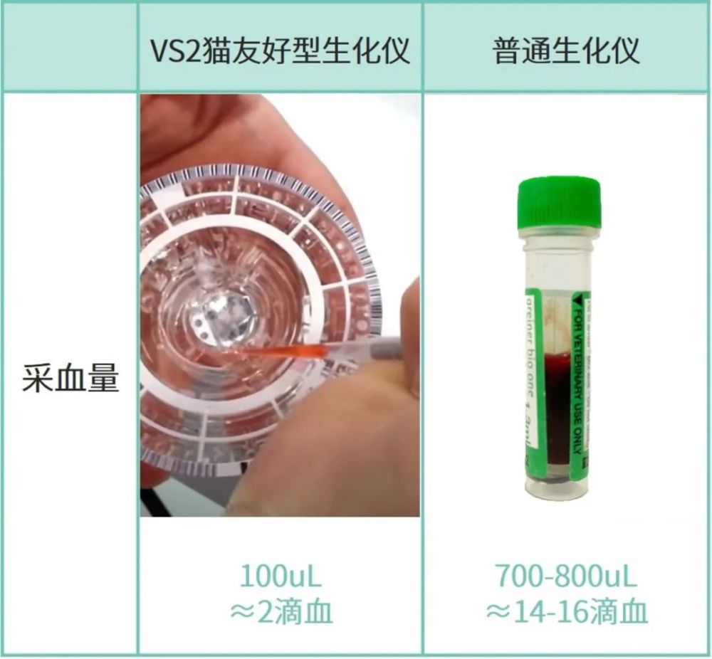 5大指标教你如何挑选一家猫友好型医院 腾讯新闻