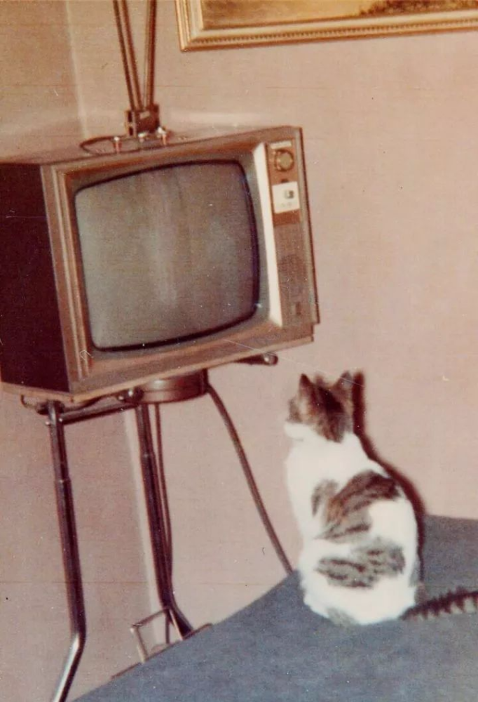 中国式小人的101种嘴脸