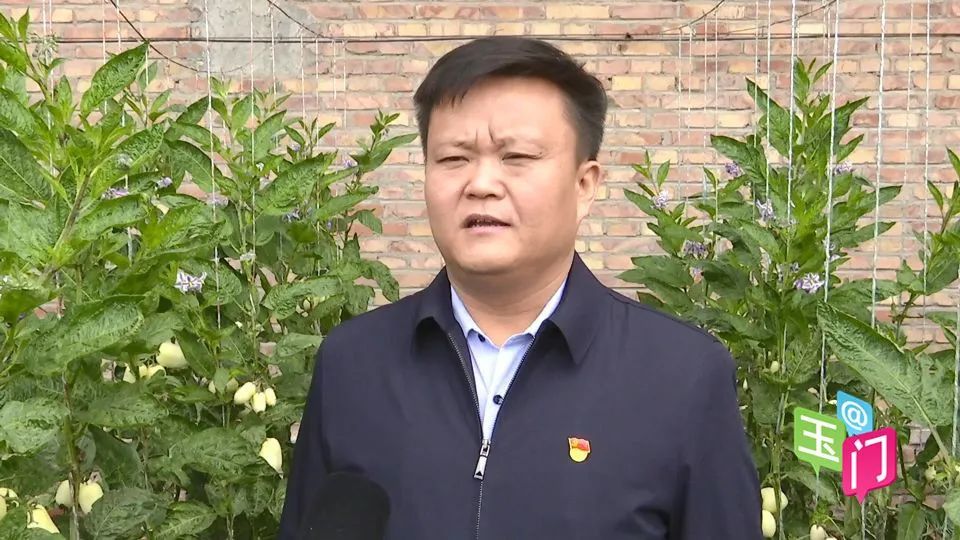 清泉乡乡长  王德利:"已经完成了高标准示范棚的设计,新搭建温室片区
