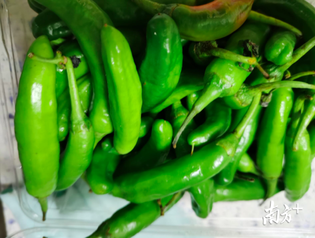 安仁擂钵抖辣椒抖出辣的穿透力