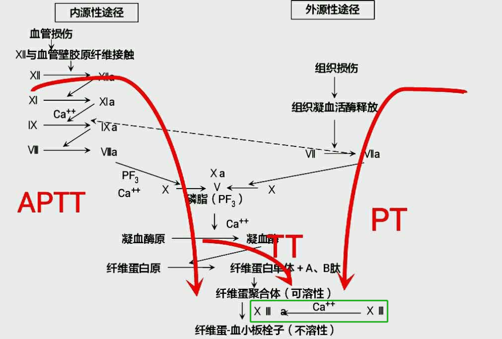 磕碰易出血,凝血检查却正常…这次病例不简单!