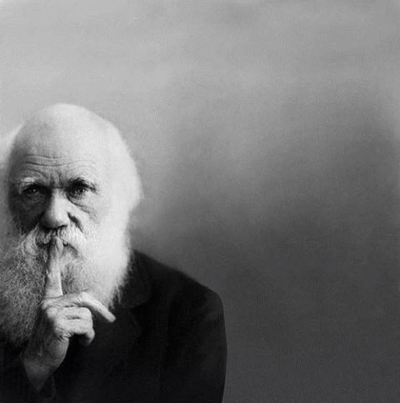 闭嘴也是一种修行