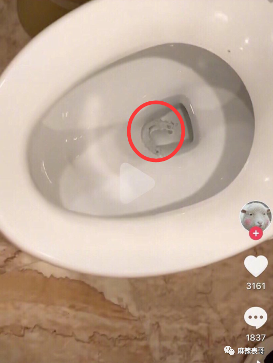 杨超越,一个让热搜充满味道的奇女子