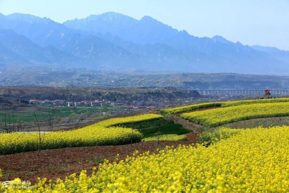 踏青賞花藍田精品旅遊線路推薦