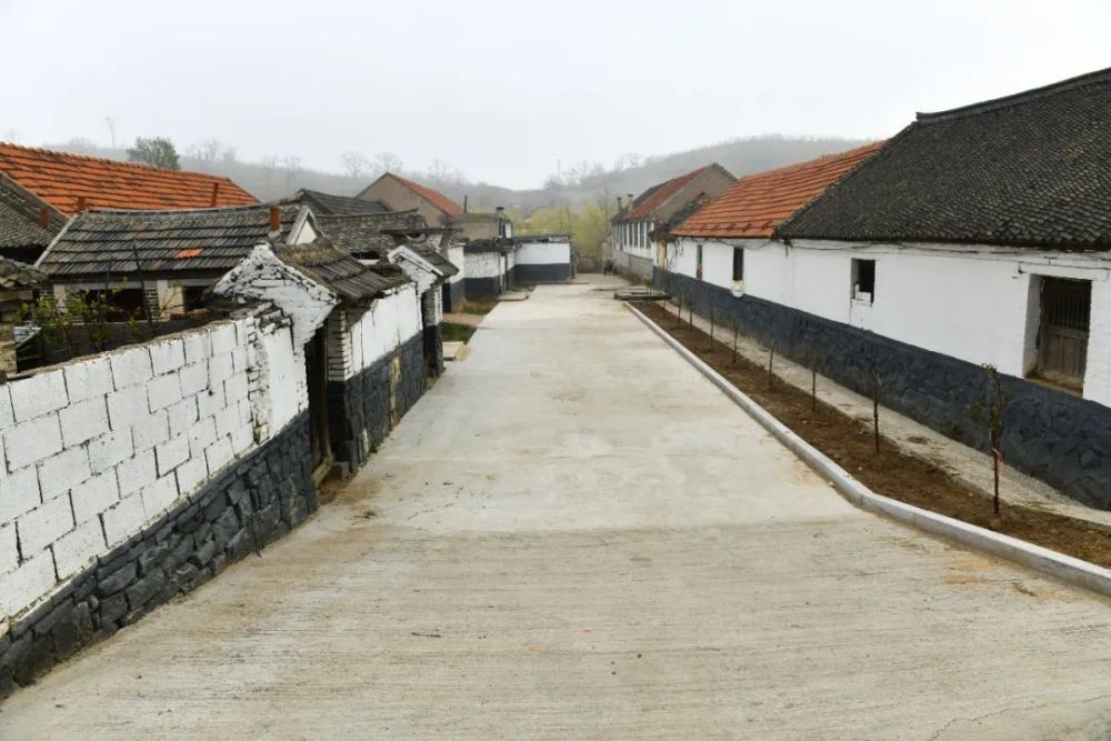 美丽乡村,乳山市崖子镇山西村影像