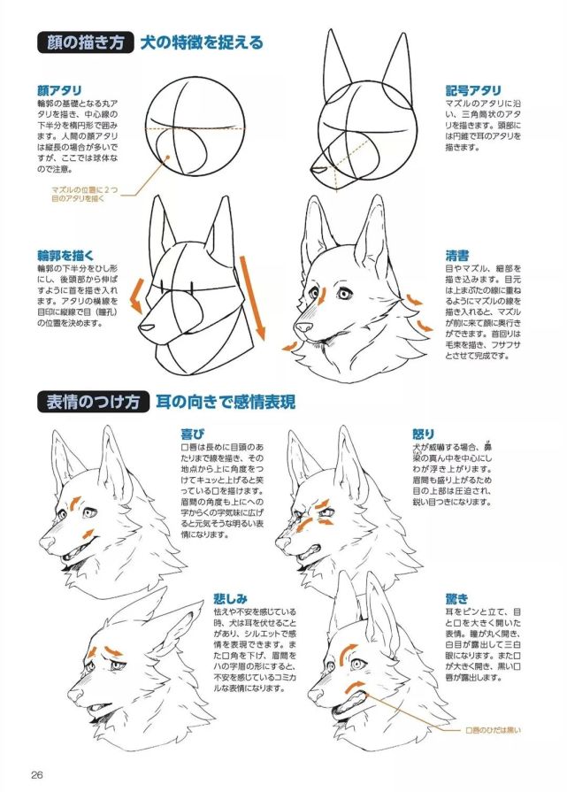 如何画出好看的犬系兽人呢 兽人