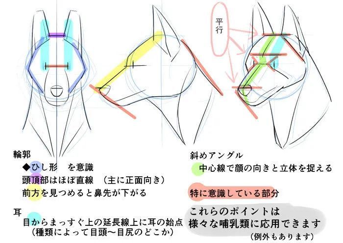 如何画出好看的犬系兽人呢 腾讯新闻