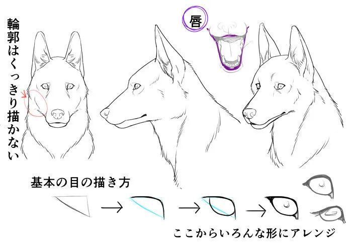 如何画出好看的犬系兽人呢 腾讯新闻