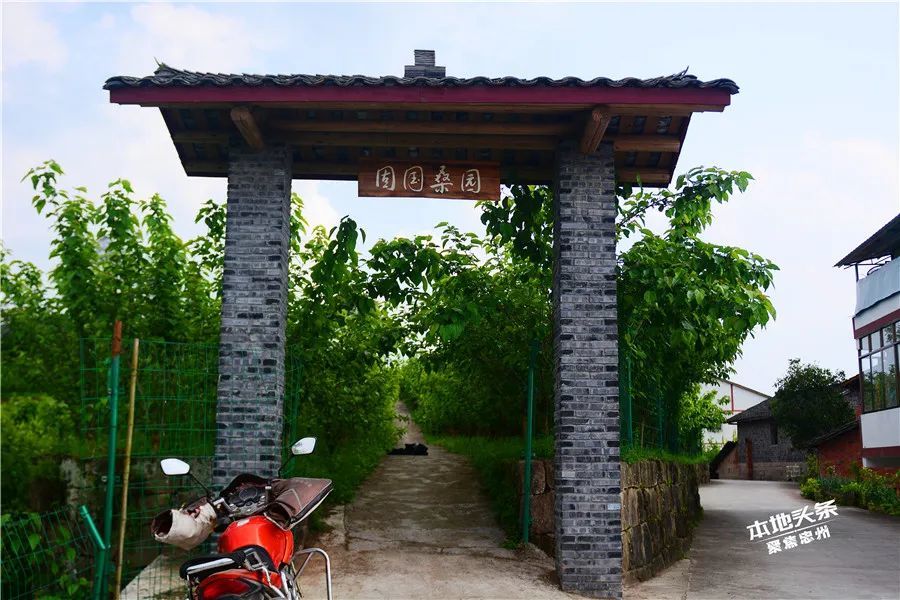 五一好去处忠县官坝镇第八届采桑节震撼来袭