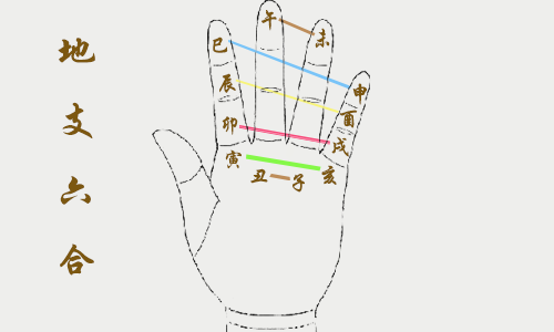 地支合会刑冲害手掌记忆法