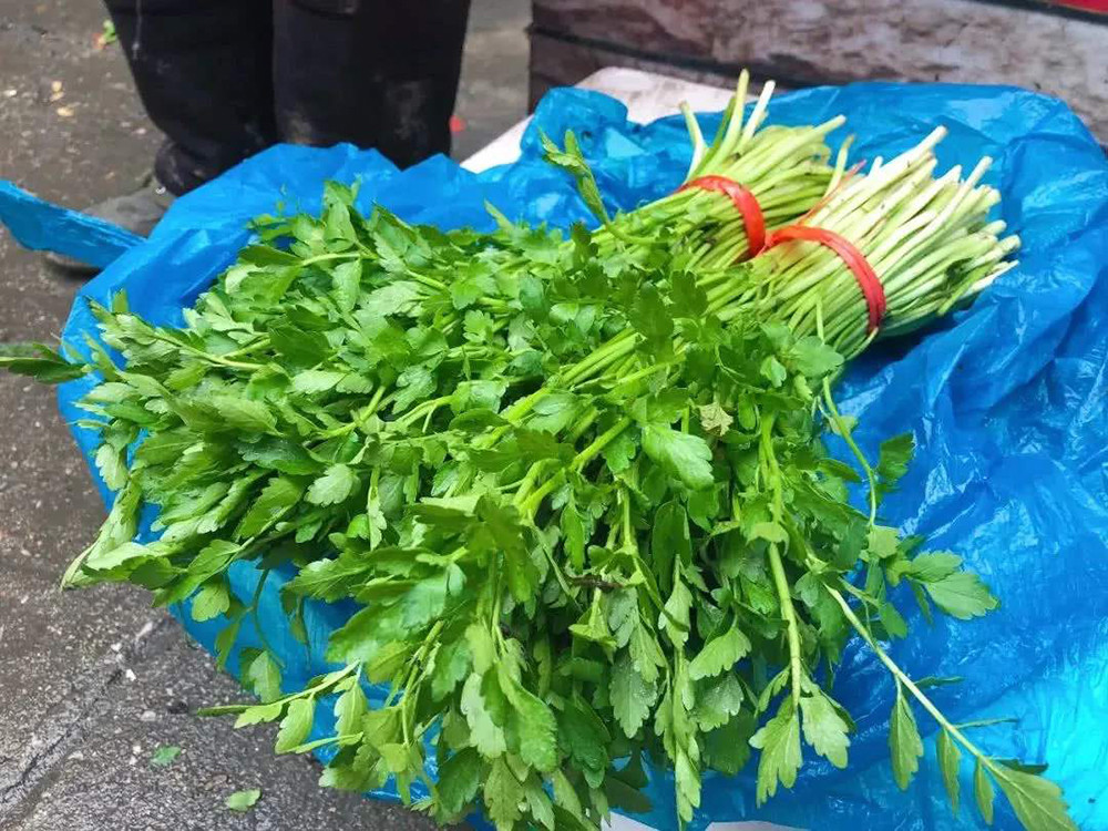 水里才有的4种野菜 味道鲜嫩无比 最后一种现在挖正好 腾讯新闻