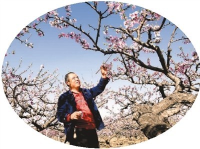 永清桃花香天下 桃花 核雕