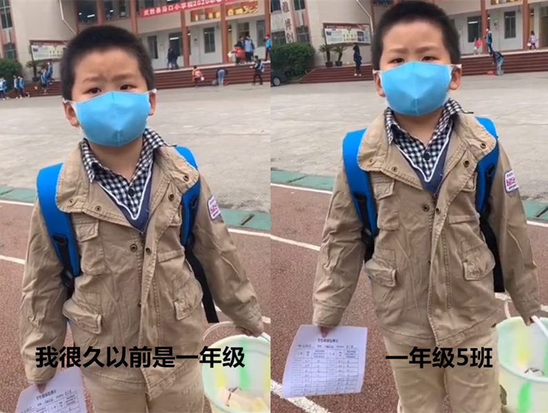 小学生因假期太长 开学第一天在学校 迷路 小眼神呆萌又无助 腾讯新闻
